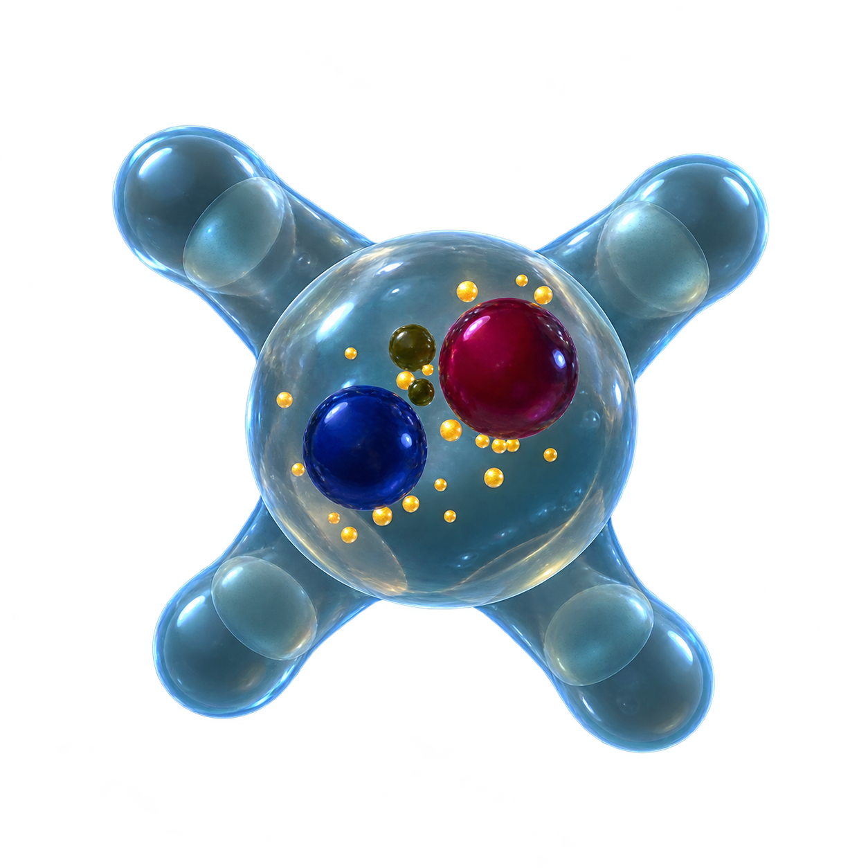 Amoeba